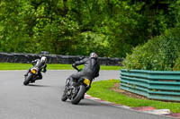 cadwell-no-limits-trackday;cadwell-park;cadwell-park-photographs;cadwell-trackday-photographs;enduro-digital-images;event-digital-images;eventdigitalimages;no-limits-trackdays;peter-wileman-photography;racing-digital-images;trackday-digital-images;trackday-photos
